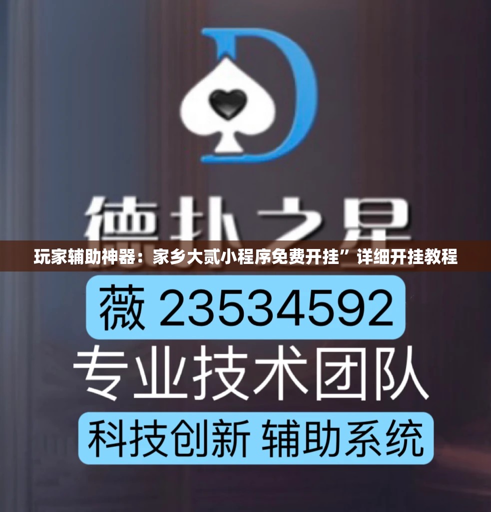 玩家辅助神器：家乡大贰小程序免费开挂”详细开挂教程