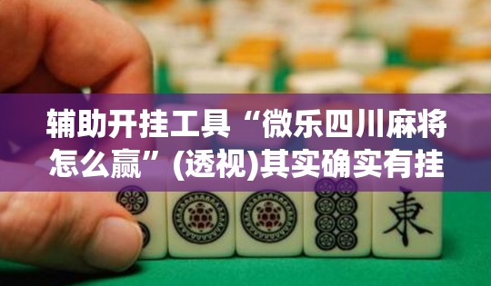 辅助开挂工具“微乐四川麻将怎么赢”(透视)其实确实有挂