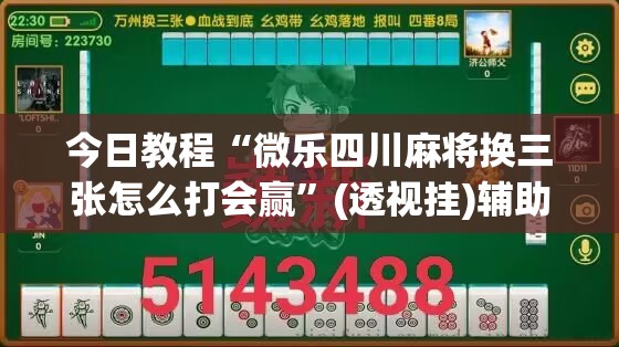 今日教程“微乐四川麻将换三张怎么打会赢”(透视挂)辅助下载教程
