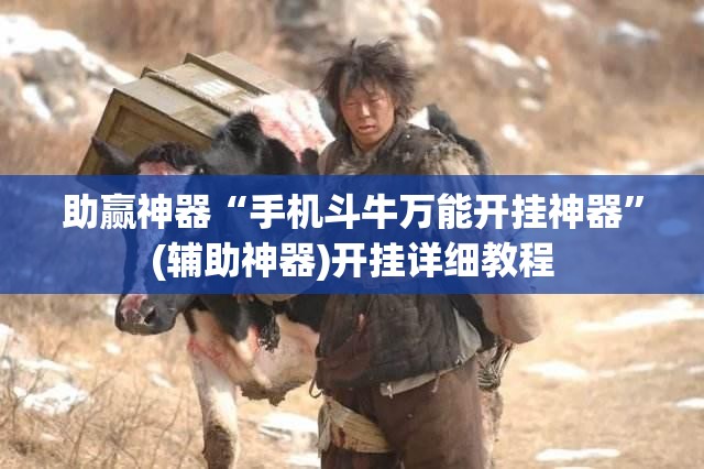 助赢神器“手机斗牛万能开挂神器	”(辅助神器)开挂详细教程