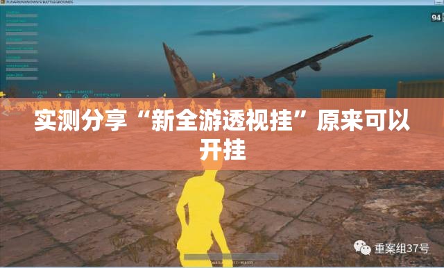 实测分享“新全游透视挂”原来可以开挂
