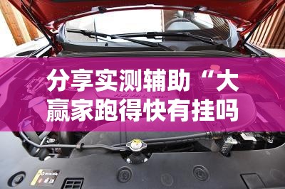 分享实测辅助“大赢家跑得快有挂吗”开挂详细教程