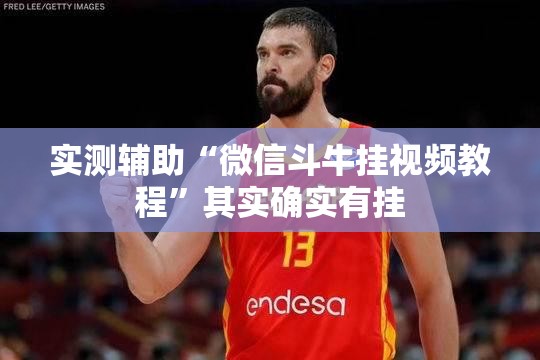 实测辅助“微信斗牛挂视频教程”其实确实有挂
