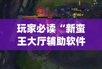 玩家必读“新蛮王大厅辅助软件(透视)”开挂辅助脚本+详细开挂安装教程