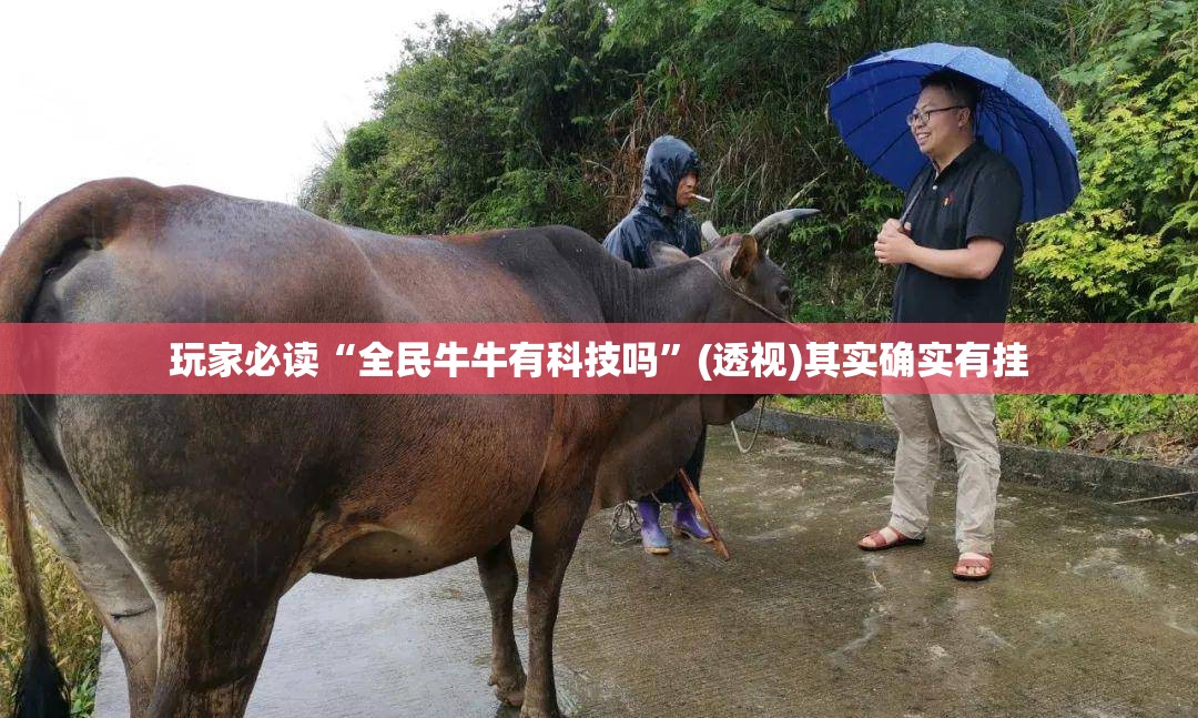 玩家必读“全民牛牛有科技吗”(透视)其实确实有挂