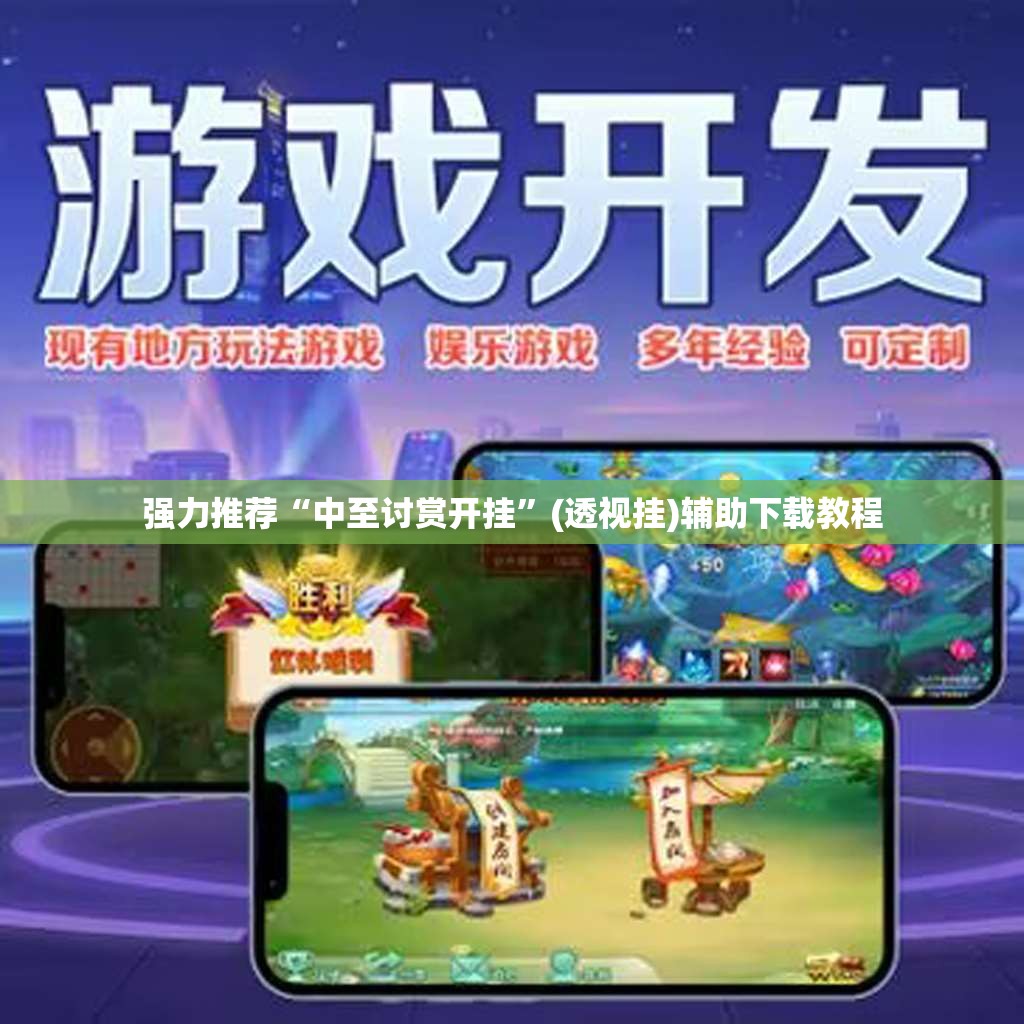 强力推荐“中至讨赏开挂”(透视挂)辅助下载教程