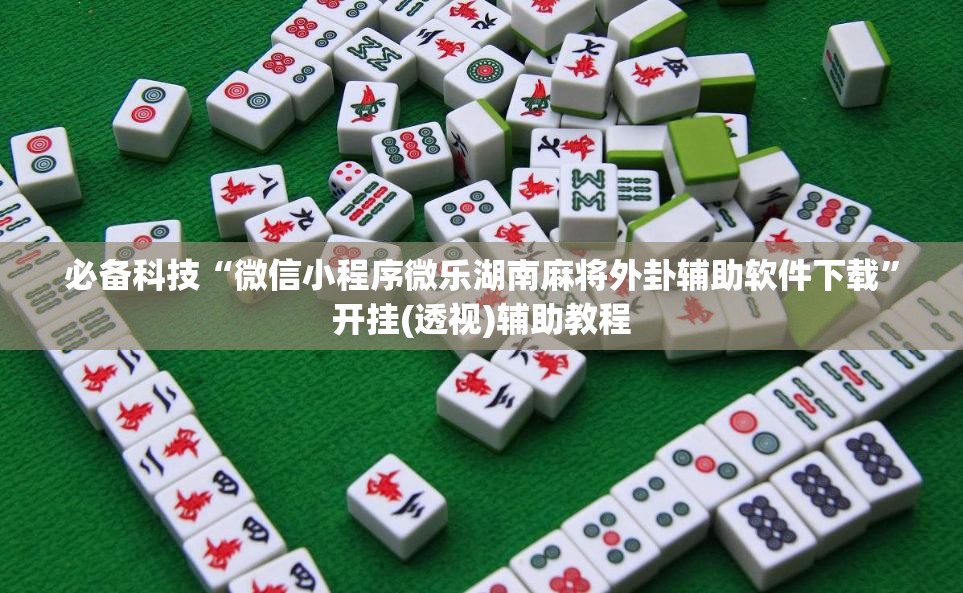 必备科技“微信小程序微乐湖南麻将外卦辅助软件下载”开挂(透视)辅助教程