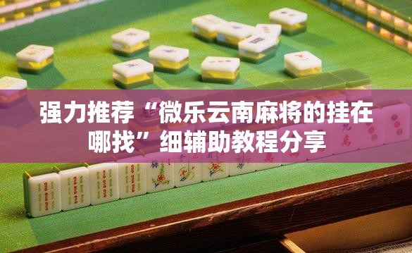 强力推荐“微乐云南麻将的挂在哪找”细辅助教程分享