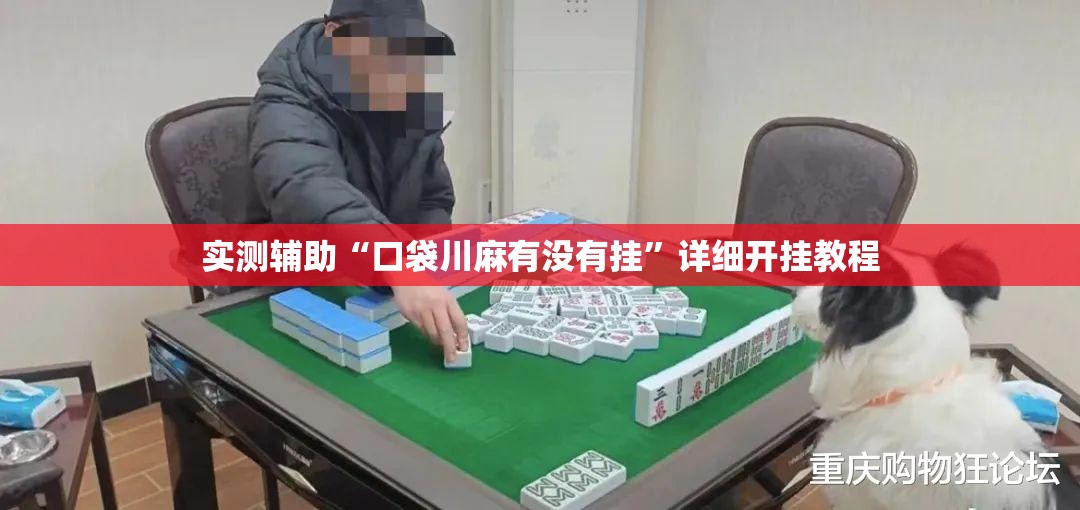 实测辅助“口袋川麻有没有挂	”详细开挂教程