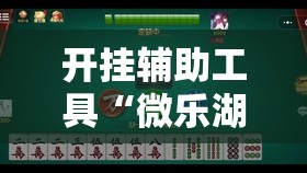 开挂辅助工具“微乐湖南麻将怎么开挂”其实确实有挂