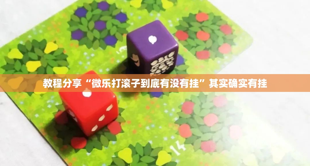 教程分享“微乐打滚子到底有没有挂	”其实确实有挂