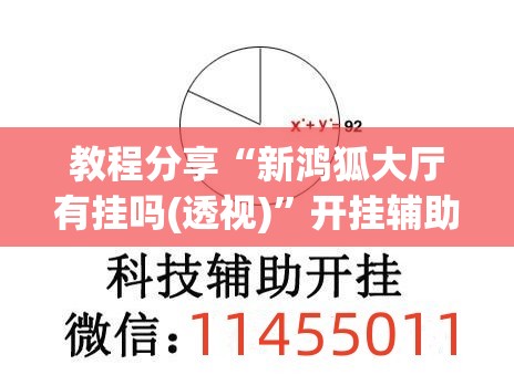 教程分享“新鸿狐大厅有挂吗(透视)”开挂辅助脚本+详细开挂安装教程