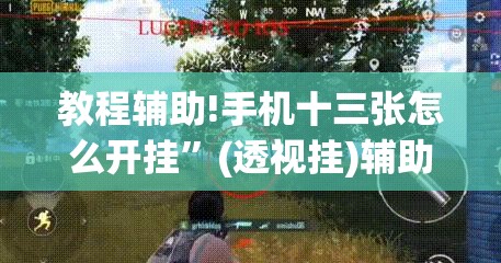 教程辅助!手机十三张怎么开挂	”(透视挂)辅助下载教程