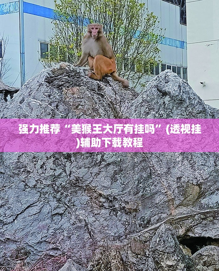 强力推荐“美猴王大厅有挂吗	”(透视挂)辅助下载教程