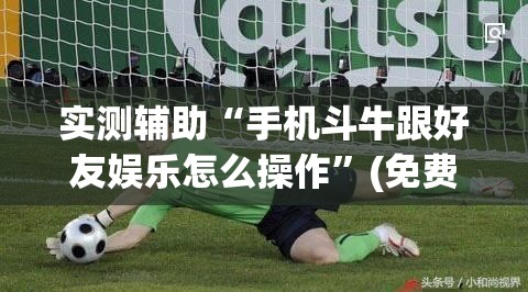 实测辅助“手机斗牛跟好友娱乐怎么操作	”(免费)开挂辅助教学(最新辅助开挂教程)