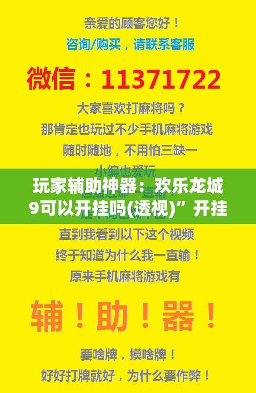 玩家辅助神器：欢乐龙城9可以开挂吗(透视)”开挂辅助脚本+详细开挂安装教程