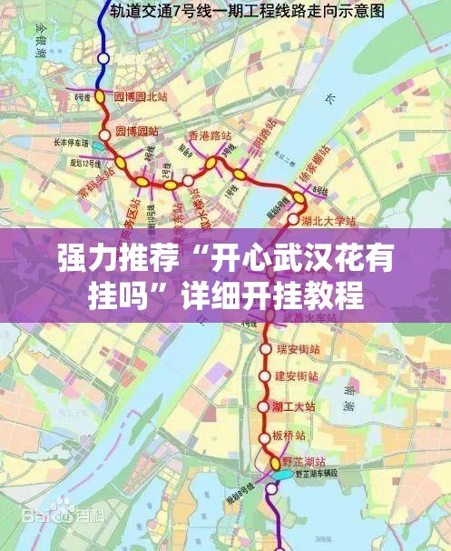 强力推荐“开心武汉花有挂吗	”详细开挂教程