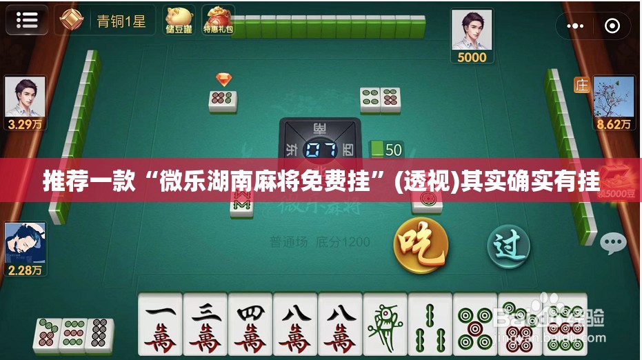 推荐一款“微乐湖南麻将免费挂	”(透视)其实确实有挂