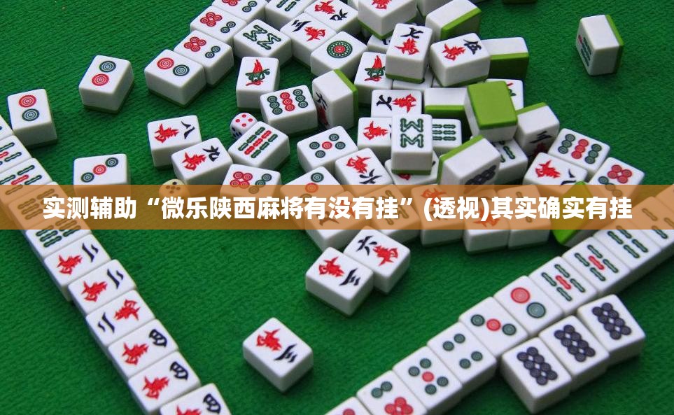 实测辅助“微乐陕西麻将有没有挂”(透视)其实确实有挂