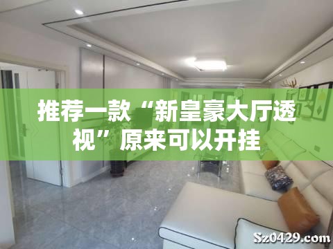 推荐一款“新皇豪大厅透视”原来可以开挂