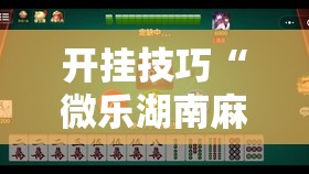开挂技巧“微乐湖南麻将有挂吗多少钱”详细开挂教程