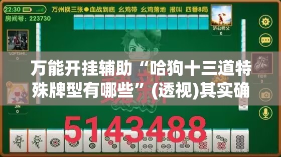 万能开挂辅助“哈狗十三道特殊牌型有哪些”(透视)其实确实有挂