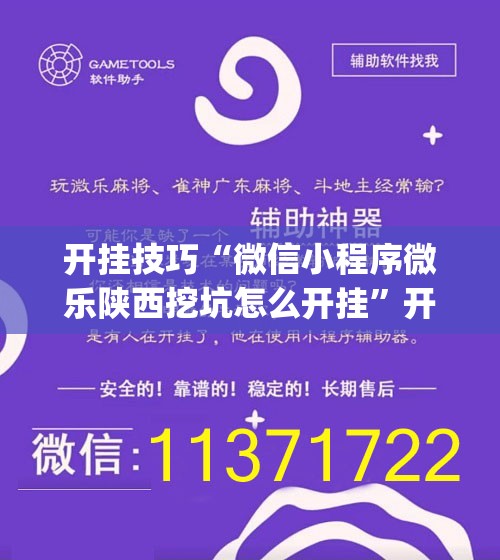 开挂技巧“微信小程序微乐陕西挖坑怎么开挂”开挂(透视)辅助教程