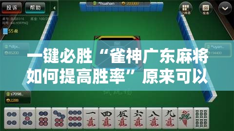 一键必胜“雀神广东麻将如何提高胜率”原来可以开挂