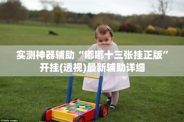 实测神器辅助“嘟嘟十三张挂正版”开挂(透视)最新辅助详细