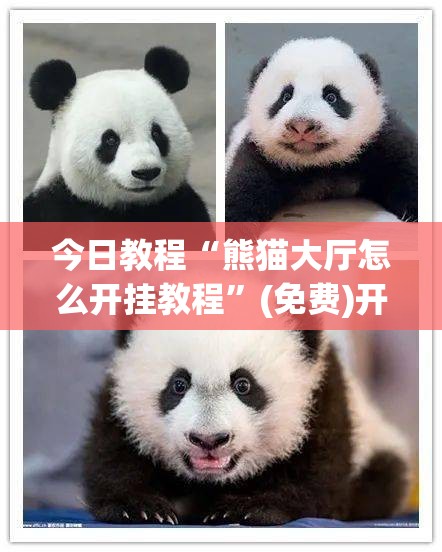 今日教程“熊猫大厅怎么开挂教程”(免费)开挂辅助教学(最新辅助开挂教程)