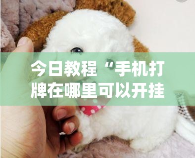 今日教程“手机打牌在哪里可以开挂”开挂(透视)辅助神器