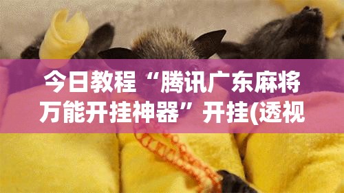 今日教程“腾讯广东麻将万能开挂神器	”开挂(透视)辅助教程
