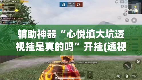 辅助神器“心悦填大坑透视挂是真的吗”开挂(透视)辅助教程