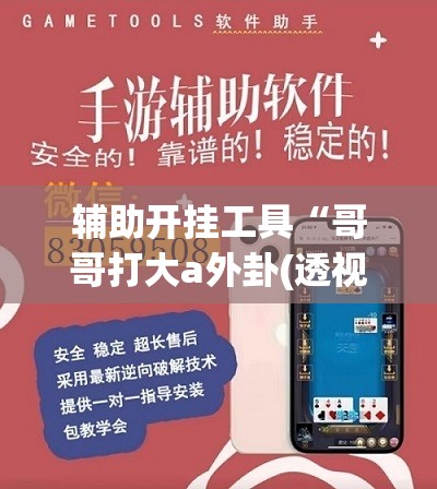 辅助开挂工具“哥哥打大a外卦(透视)”开挂辅助脚本+详细开挂安装教程