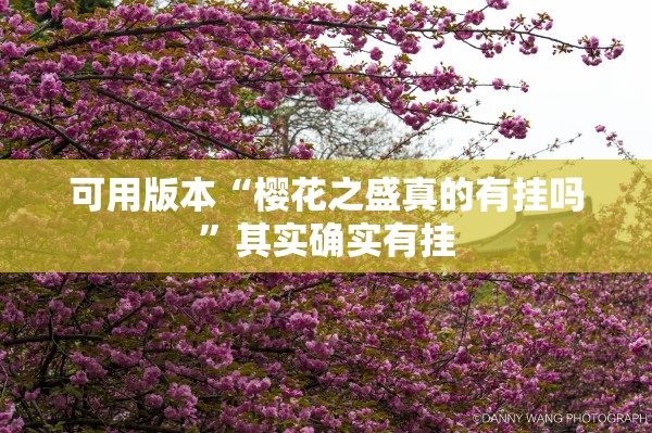 可用版本“樱花之盛真的有挂吗”其实确实有挂