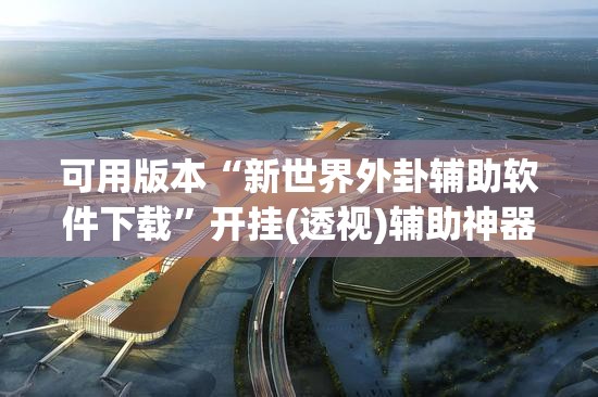 可用版本“新世界外卦辅助软件下载”开挂(透视)辅助神器