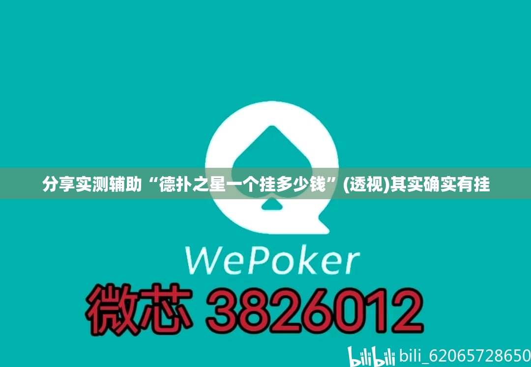 分享实测辅助“德扑之星一个挂多少钱”(透视)其实确实有挂