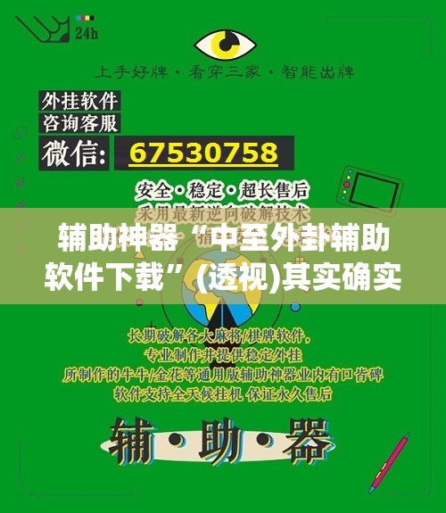 辅助神器“中至外卦辅助软件下载”(透视)其实确实有挂