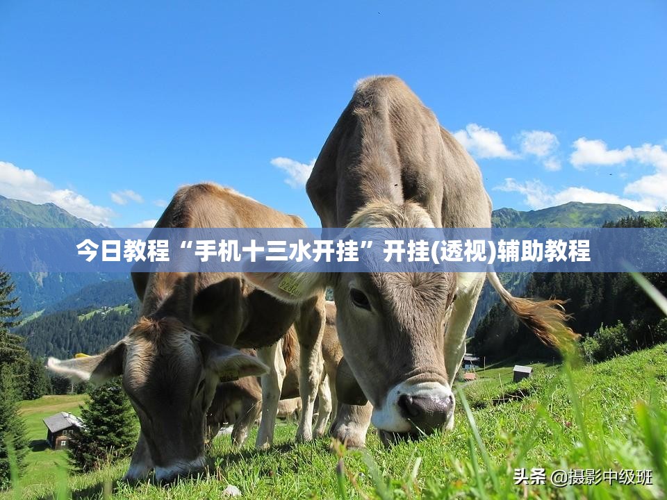 今日教程“手机十三水开挂”开挂(透视)辅助教程