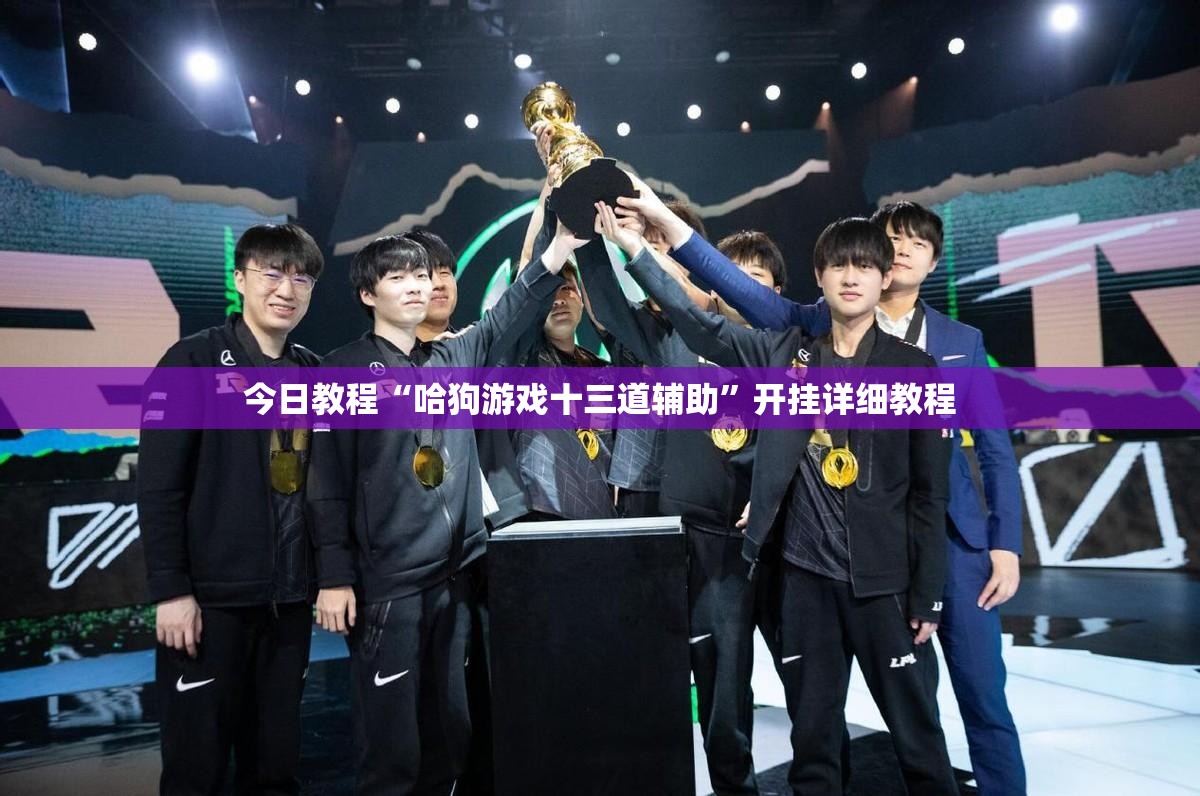 今日教程“哈狗游戏十三道辅助	”开挂详细教程