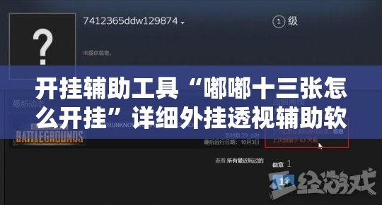 开挂辅助工具“嘟嘟十三张怎么开挂	”详细外挂透视辅助软件教程