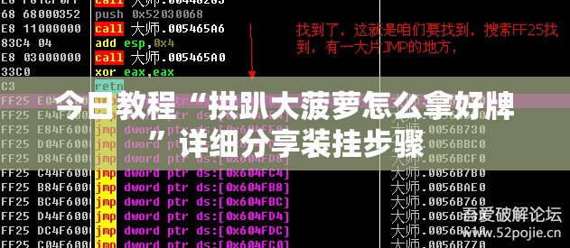 今日教程“拱趴大菠萝怎么拿好牌	”详细分享装挂步骤