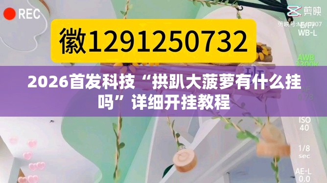 2026首发科技“拱趴大菠萝有什么挂吗”详细开挂教程