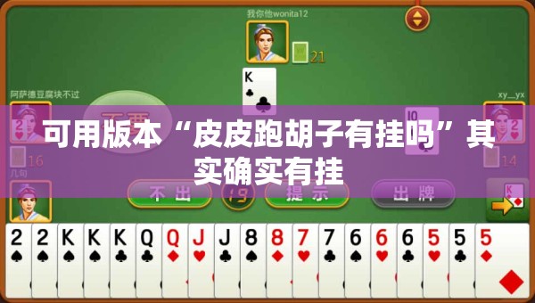 可用版本“皮皮跑胡子有挂吗”其实确实有挂