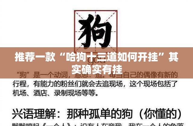 推荐一款“哈狗十三道如何开挂	”其实确实有挂