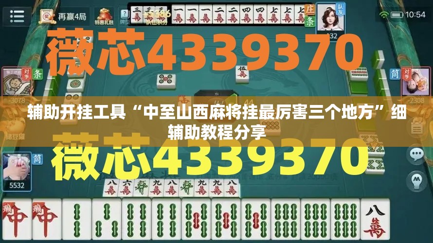 辅助开挂工具“中至山西麻将挂最厉害三个地方	”细辅助教程分享