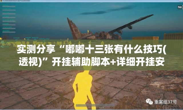 实测分享“嘟嘟十三张有什么技巧(透视)”开挂辅助脚本+详细开挂安装教程