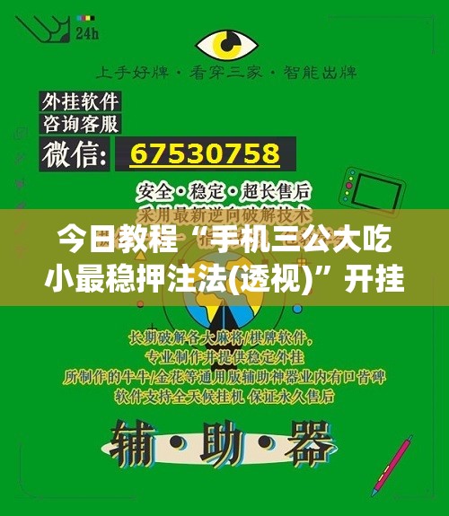 今日教程“手机三公大吃小最稳押注法(透视)”开挂辅助脚本+详细开挂安装教程
