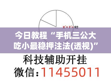 今日教程“手机三公大吃小最稳押注法(透视)”开挂辅助脚本+详细开挂安装教程