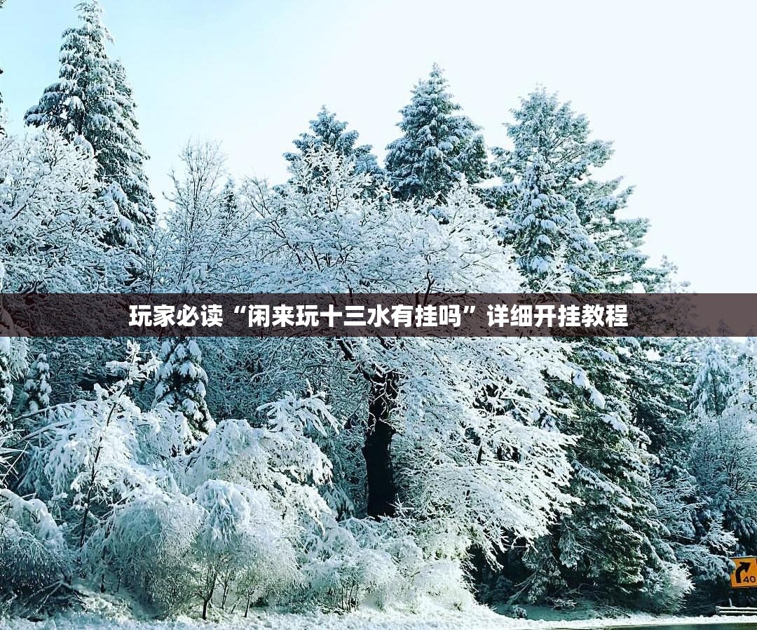 玩家必读“闲来玩十三水有挂吗	”详细开挂教程